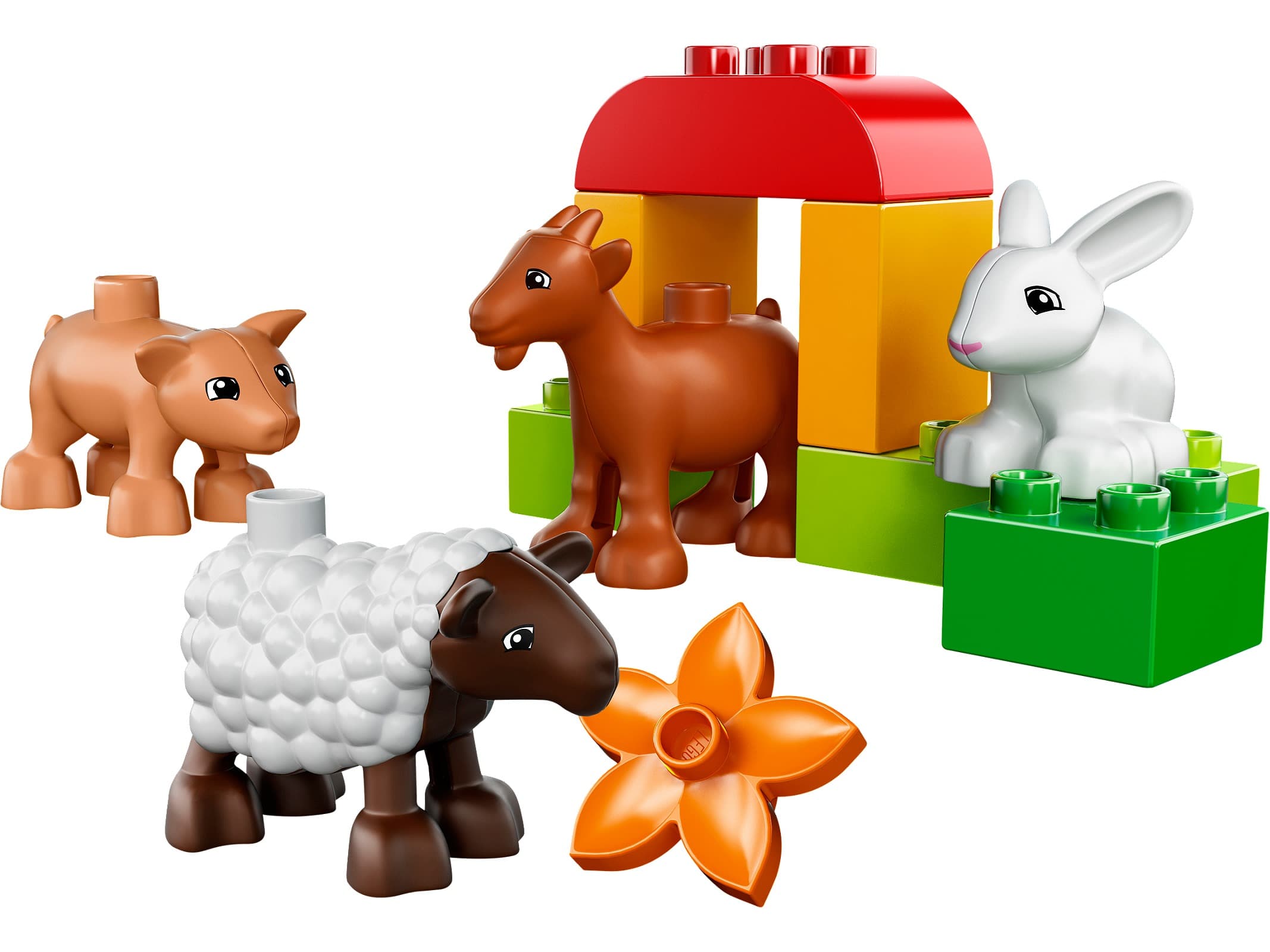 Farm Animals