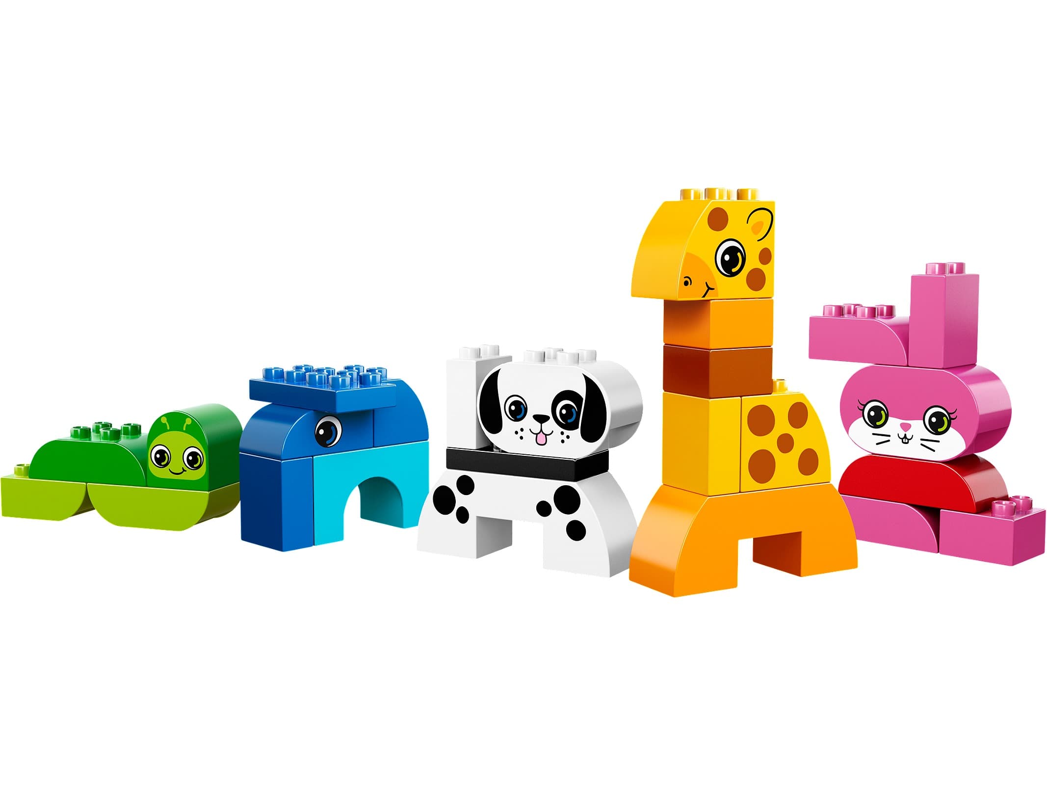 Creative Animals