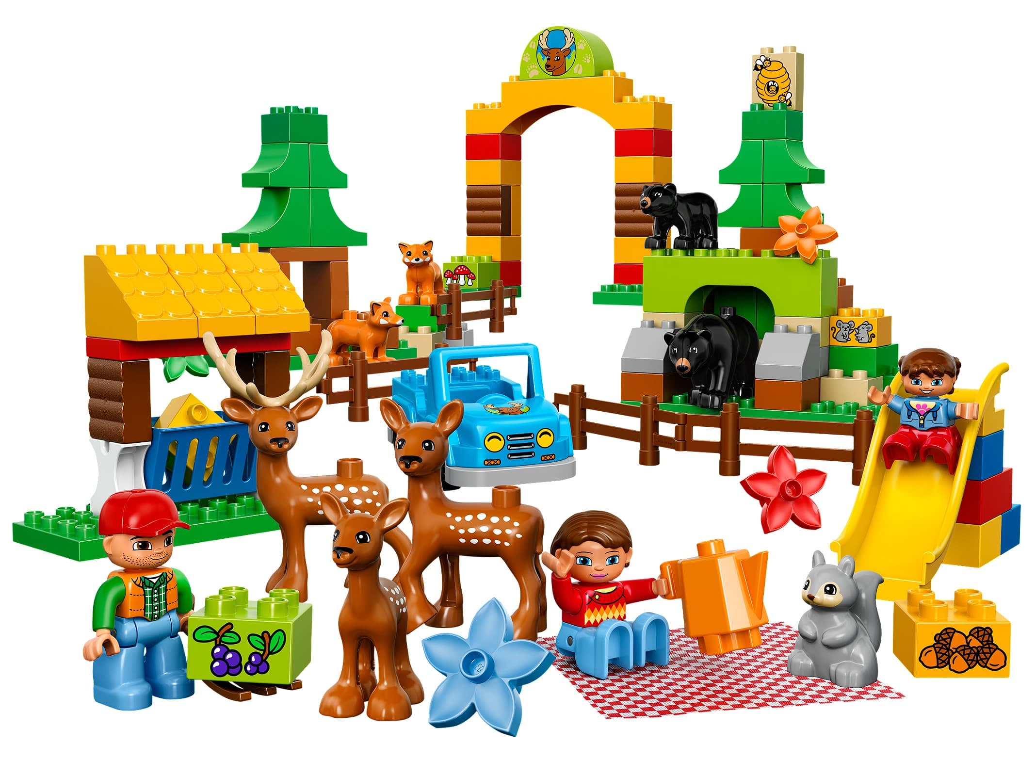 Forest: Park