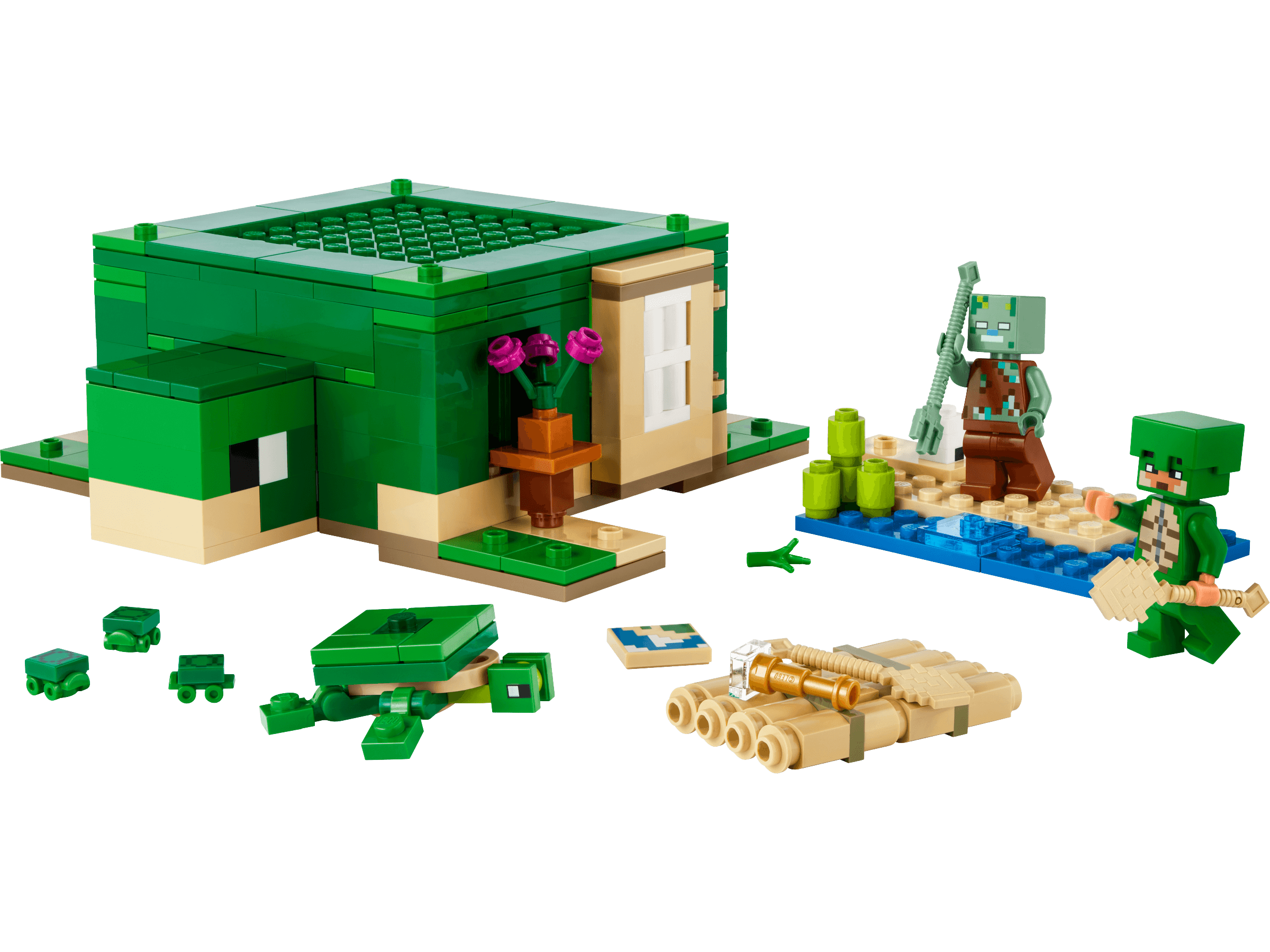 The Turtle Beach House